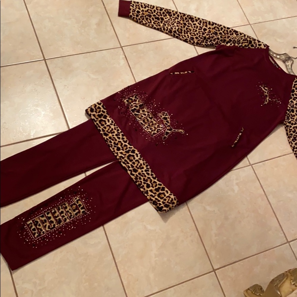 European style puma set